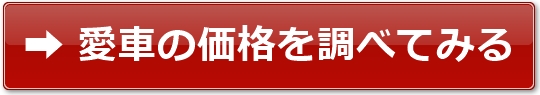 ԍwP